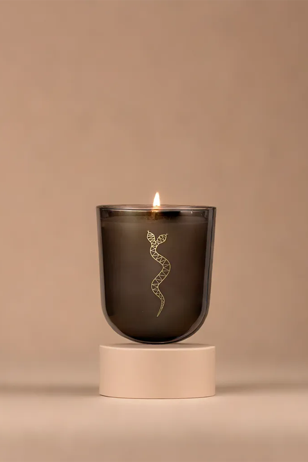 Seasons Collection: Episode One Candle