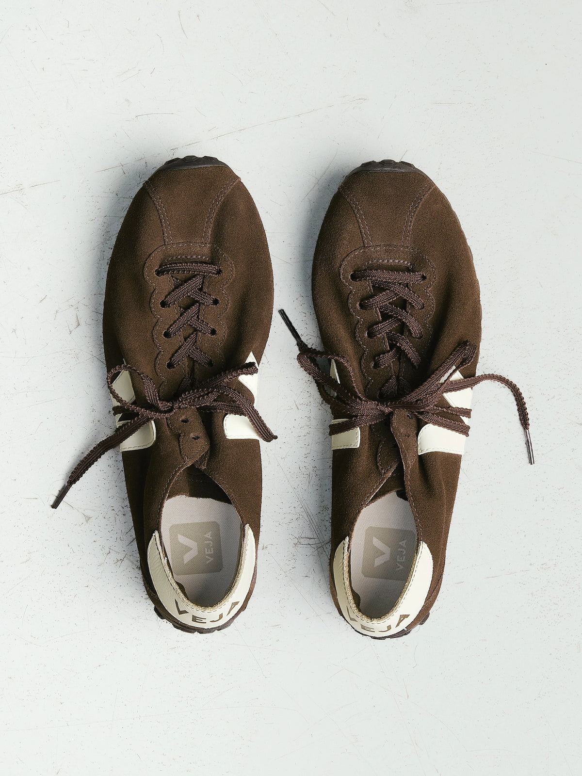 Cateyes Suede Eagle Cashew